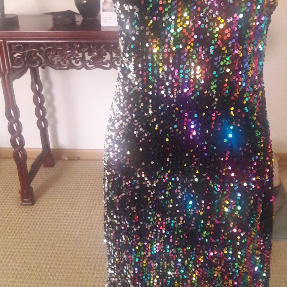 Multi Color Sequin Dress Size 16